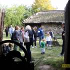 zdjęcie nr 21