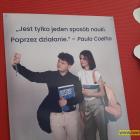 zdjęcie nr 17