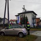 zdjęcie nr 12