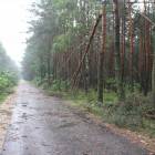 zdjęcie nr 14