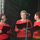 zdjęcie nr 92