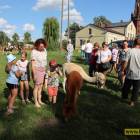 zdjęcie nr 8