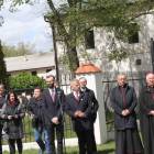 zdjęcie nr 80