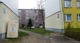 Fotka nr 4 z 12