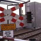 zdjęcie nr 17