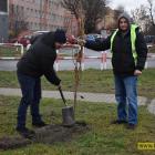 zdjęcie nr 39