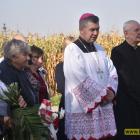 zdjęcie nr 24