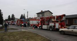 zdjęcie nr 10