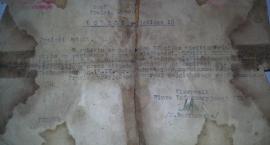 Fotka nr 4 z 13