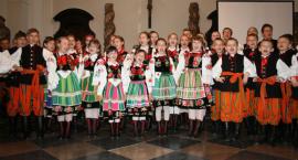 zdjęcie nr 7