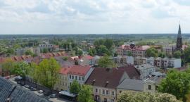 zdjęcie nr 9