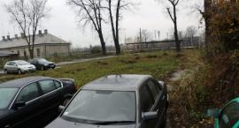 Fotka nr 2 z 4