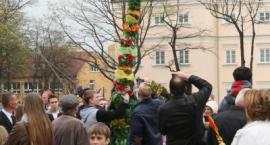 zdjęcie nr 7
