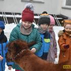 zdjęcie nr 20