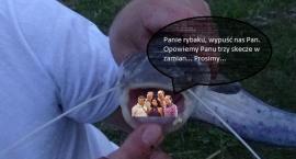 Fotka nr 0 z 2
