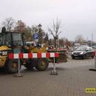 Fotka nr 3 z 13