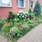 zdjęcie nr 44