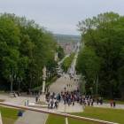 zdjęcie nr 33