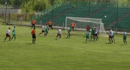 zdjęcie nr 8