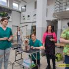 zdjęcie nr 24