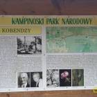 zdjęcie nr 34