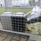 zdjęcie nr 