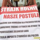 Fotka nr 3 z 11