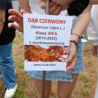 zdjęcie nr 47