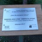 Fotka nr 5 z 13