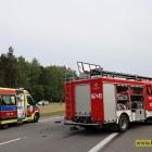 Fotka nr 3 z 43