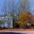 zdjęcie nr 38