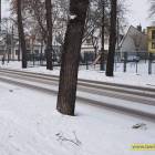 zdjęcie nr 22