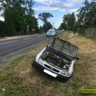 Fotka nr 5 z 7