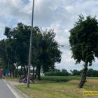 Fotka nr 1 z 9
