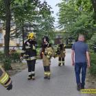 Fotka nr 4 z 12