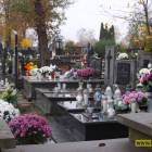 zdjęcie nr 13