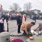 zdjęcie nr 15