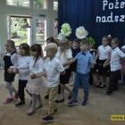 zdjęcie nr 25
