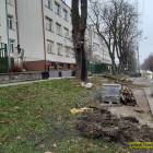 zdjęcie nr 7