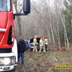 Fotka nr 2 z 13