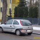 Fotka nr 2 z 4