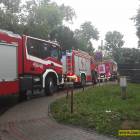 Fotka nr 1 z 4