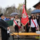 zdjęcie nr 29