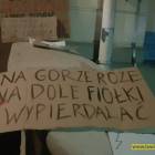 Fotka nr 5 z 23