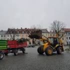 Fotka nr 2 z 7