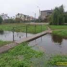 zdjęcie nr 8