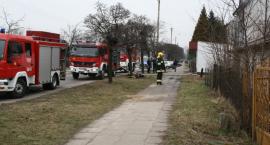 zdjęcie nr 8
