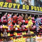 zdjęcie nr 45