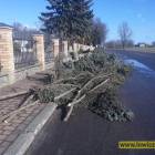 zdjęcie nr 33