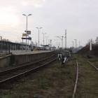 zdjęcie nr 11